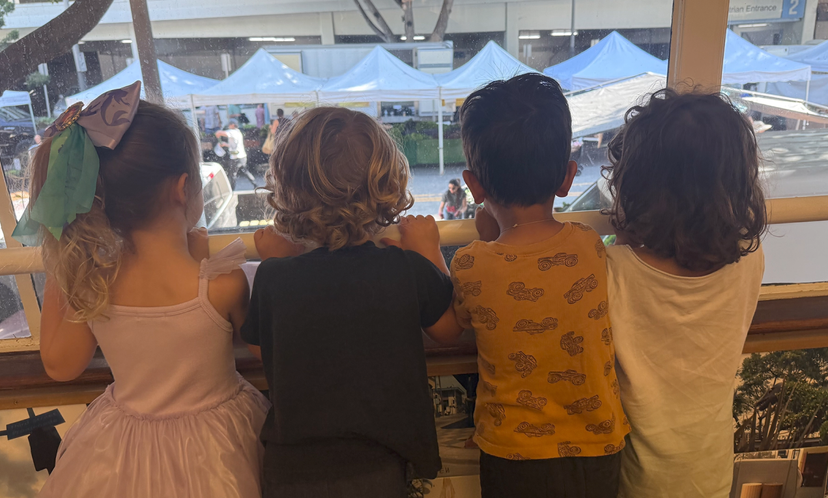 Children looking through the window